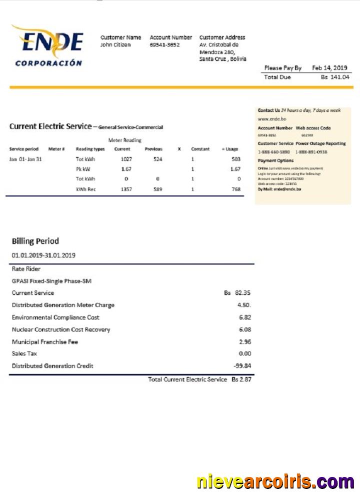 Bolivia ENDE Corporacion electricity utility bill